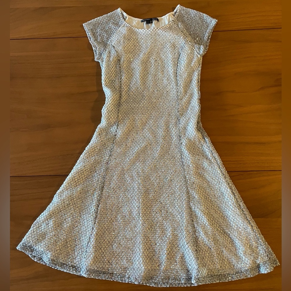 Theyskens Theory Chuma Shimmer Mesh P Dress